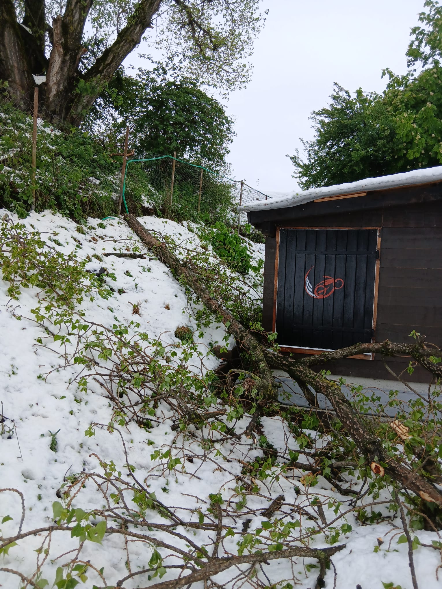 Après la tempête